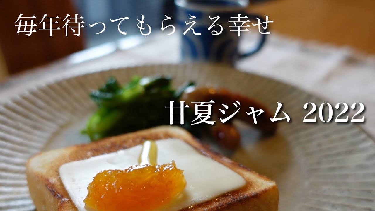 #6  この春も甘夏ジャム｜苦くない、なめらか｜作業の記録