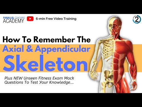 How to remember the Axial and Appendicular Skeleton: Exam Revision