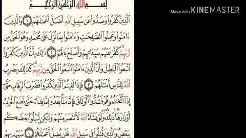 سورة محمد من آية ( ١ ) الى اية ( ١١ ) للقارئ : ماهر المعيقلي .