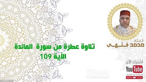 تلاوة عطرة من  سورة المائدة ، الأية 109 | بصوت القارئ محمد قلعي | جودة عالية