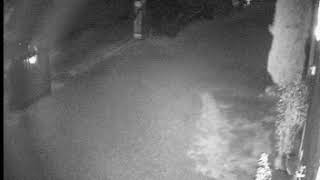 CH 2 2016 11 25 20 36 06