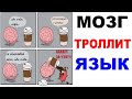 Лютые приколы. Мозг троллит язык. Угарные мемы