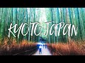 Kyoto Japan Mystical Bamboo Forest