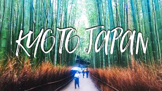 Kyoto Japan Mystical Bamboo Forest