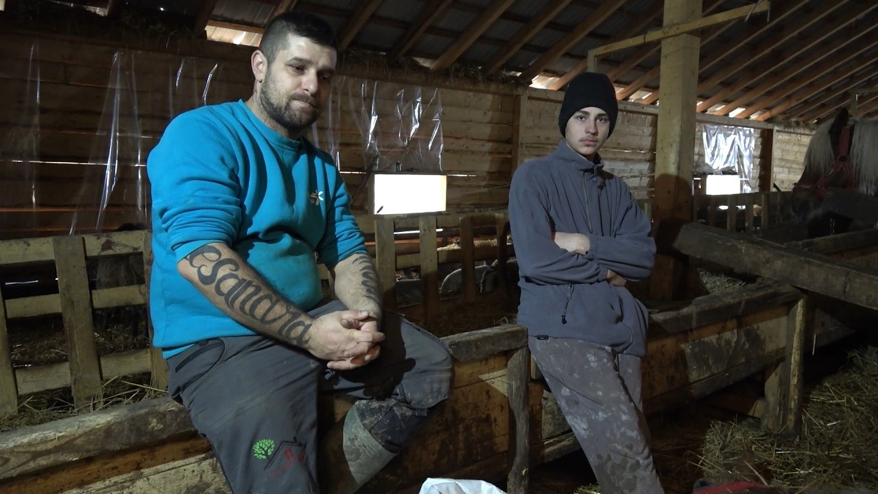 Ajutor pentru Darius impreuna cu Calin de la Almasu Mic, Bihor - 2026 Nou!!!