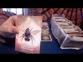 Shiovie: personal reading