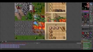 Tibia Solera PK - Ek 185 Down