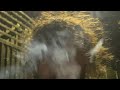 Ace in the abyss-get outta my way (official audio)