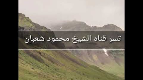 تلاوة عطرة بصوت القارىء محمود شعبان
