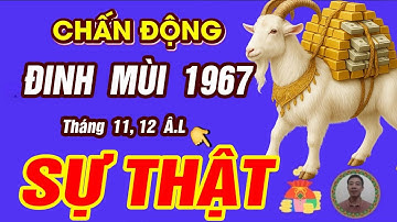 Sự Thật tử vi tháng 11 và Tháng 12 âm lịch 2025 Tuổi ĐINH MÙI 1967 BÃO LỘC TRÀN VỀ GIÀU HƠN TỶ PHÚ