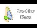 Shrink Your Nose - Get a Smaller Nose - Permanent CHANGE [SUBLIMINAL/FREQ]