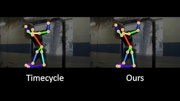 Learning Semantic Correspondence Exploiting an Object level Prior