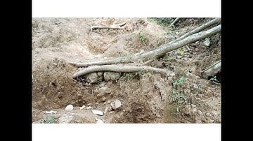 2021 PILOT -COMMUNITY BASED MONITORING SYSTEM(CBMS)