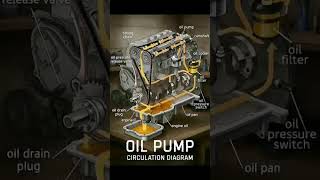 Engine Oil Pump Circulation Diagram | How Engine Lubrication System Works | Car Engine Animation