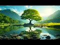 Soothing Music For Nerves Therapeutic Music For The Heart And Blood Vessels Relaxation 