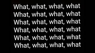 Thrift Shop Lyrics