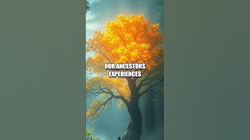 The Scientific Possibilities of Genetic Memory