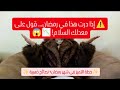 الدراسة في رمضان الخطة الذكية لي تضمنلك معدل عالي