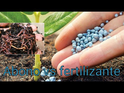 Video: ¿Qué es un fertilizante?