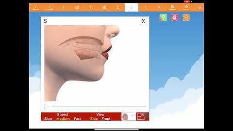 Articulation Video Section in Speech World