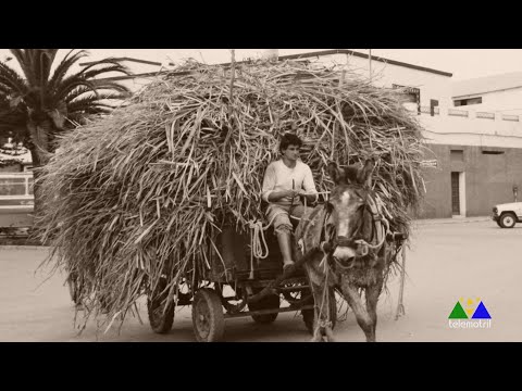 La Alquería Retales Avda  Salobreña 1ª  parte 24 de enero 2023 mpg