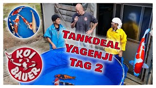 Yagenji Sansai Tankdeal & Yamazaki Nisai | Japan Oktober 2025 | Tag 2 | Koi Bauer