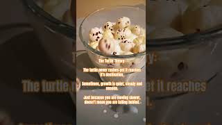 The Turtle Theory. #vawmentalhealth2026 #mentalhealthmattersvaw #history #anime #facts #motivation