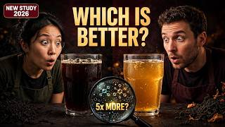 Details Oolong vs Black Tea for Kombucha  SHOCKING New Study Results Update