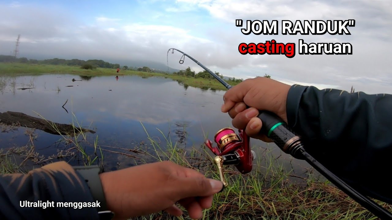 JOM RANDUK casting haruan_Casting Ikan Haruan or Ikan Gabus/snakehead