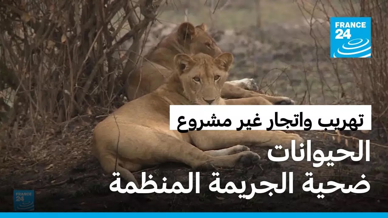 ������� ������� ������.. ��������� ���� ������� �������
 - نشر قبل 8 دقيقة