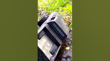 WPL C24 Short Sunday trail run.