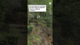 Unos turistas y un menor se cuelan en el recinto de lobos de Cabárceno (Cantabria) #Turistas #Lobos