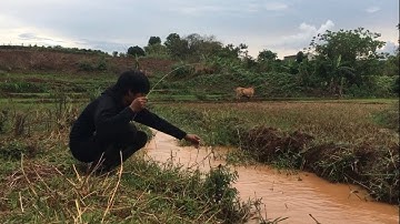 Survival Jrai - Câu Cá Suối Rừng Tây Nguyên | Ia Hla - Món Quà Củа Thiên Nhiên