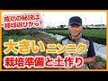 家庭菜園や農園で大人気なニンニク栽培！成功の秘訣は種球選び！ニンニク栽培準備と土作りを徹底解説！/Tips for growing big garlic from a Japanese farmer.