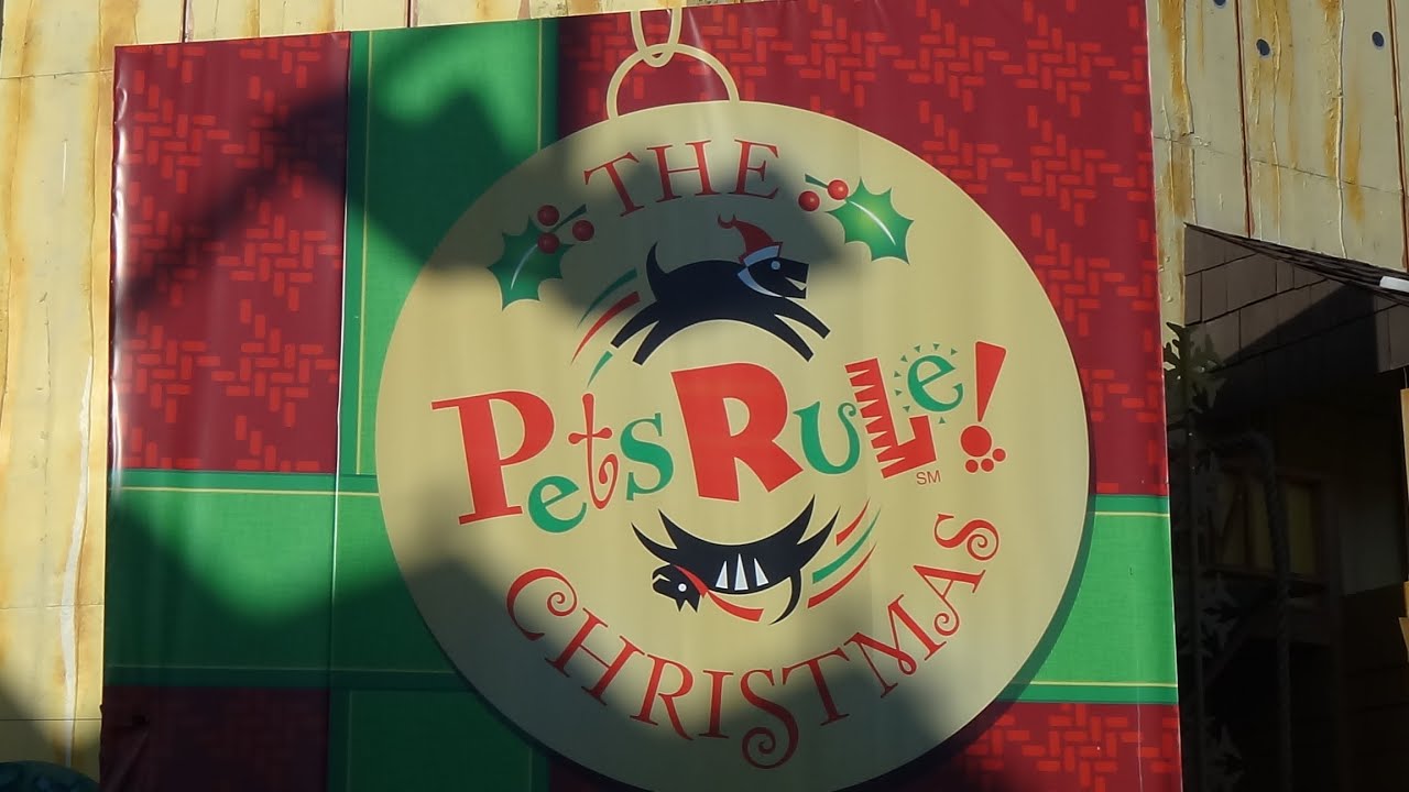 THE PETS RULE CHRISTMAS SPECIAL SEAWORLD 12-20-2013