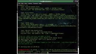 basic use of sqlmap
