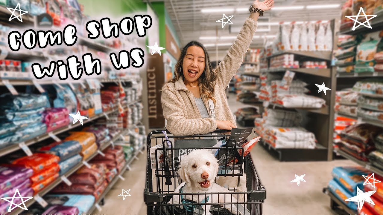 taking my dog on a shopping spree + Petco Haul! - YouTube