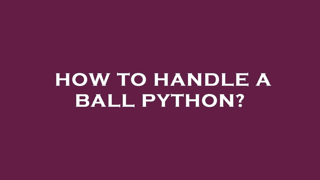 How to handle a ball python? YouTube