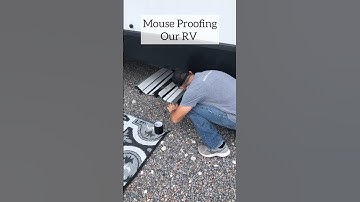 Mouse Proofing Our RV #rvlife #rv