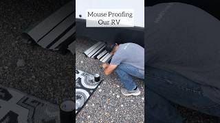 Mouse Proofing Our Rv