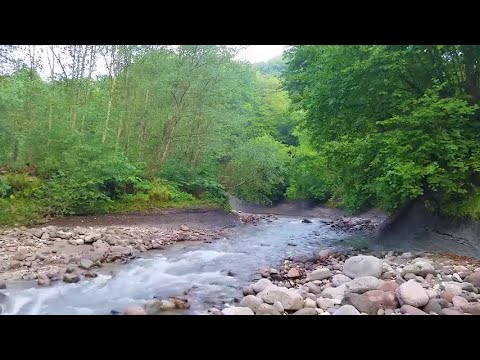 هكذا علمتني الحياة 1 كاملة للشيخ علي القرني