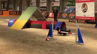 Ifcs Wac 2022 Wren Individual Gamblers Agility