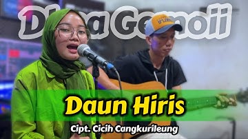 DAUN HIRIS - CICIH CANGKURILEUNG (LIVE COVER DEA GEMOY) ACOUSTIC VERSION