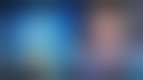 Is the CDO (Chief Data Officer) an Established Role within a Business?