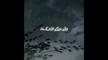 سورة عمران. #غزة #قرآن