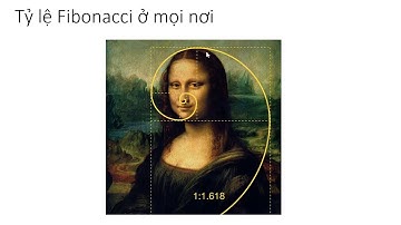 Để trở thành Pro Trader Bài 15  Công cụ Fibonacci Retracement là gì  Hướng dẫn sử dụng chỉ báo Fibo