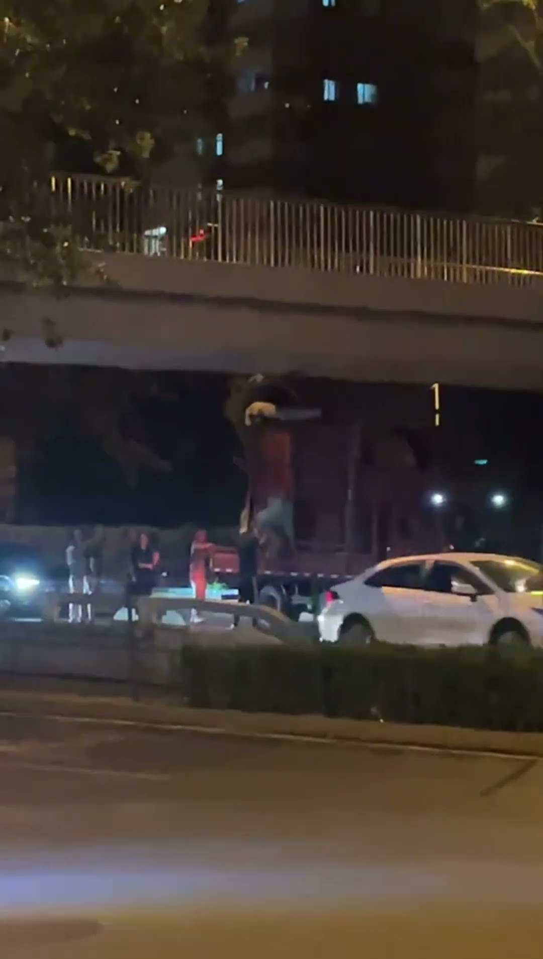 Nighttime Surprise as Giraffe Rides Alongside a Vehicle