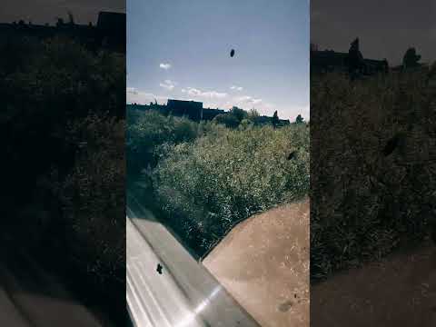 سوف نمضي في دروب الحق السعودية اكسبلور العراق دويتو سوريا تحفيز Nature تيك توك تصويري