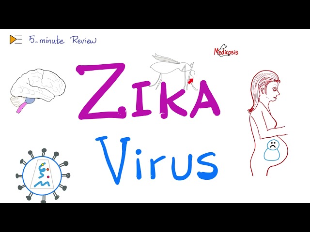 Zika Virus | 5-minute Review class=