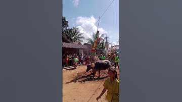 tradisi acara Tiwah KalTeng